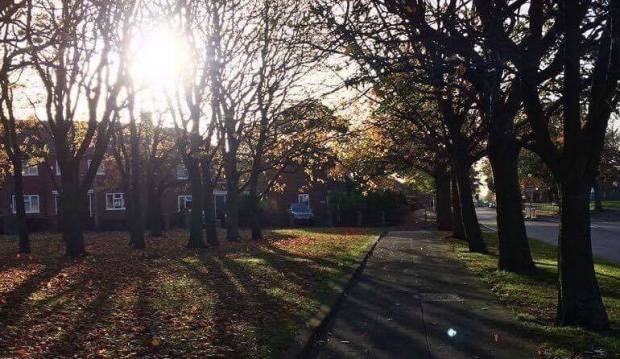 14445780_1092018100882317_535858236_n