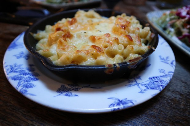 8453819672752979810_IMG_8569