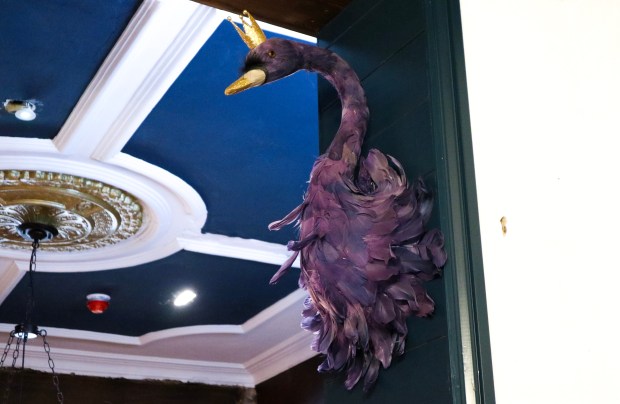 8959891326761136722_IMG_8645