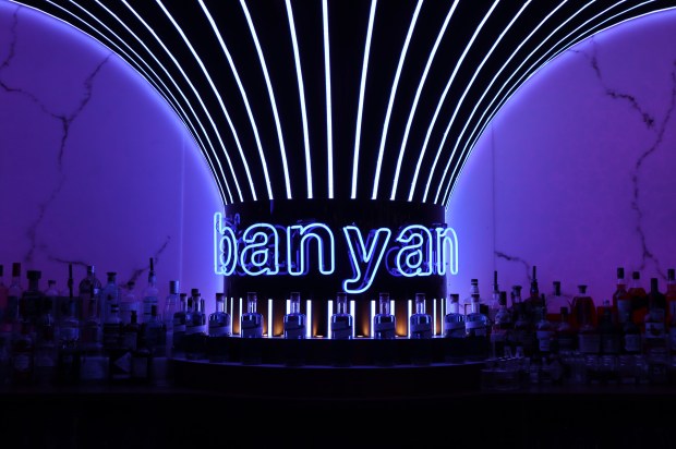 4301442206548737327_IMG_8698