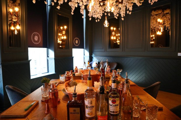 7231055043242603051_IMG_8663